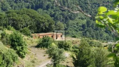 Rustic house on Calle Pd Mas de Joan Nas No Number photo 43