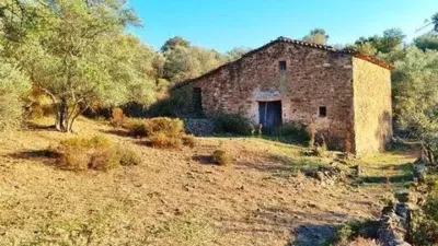 Rustic house in La Nava photo 5