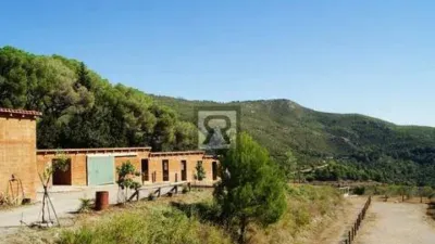 Rustic house on Calle Pd Mas de Joan Nas No Number photo 41