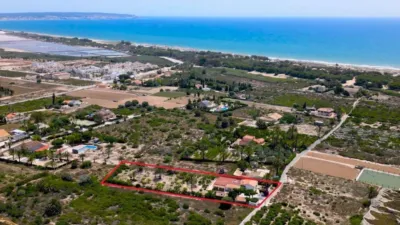 Pis – Elx / Elche, Regs del Porvenir, la Marina - Vista 2