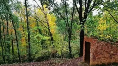 Rustic property in Galaroza photo 47
