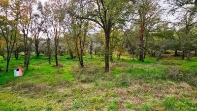 Rustic property in Galaroza photo 53