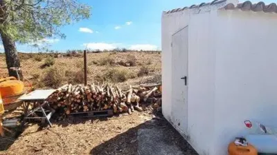 Rustic property in El Campillo photo 31