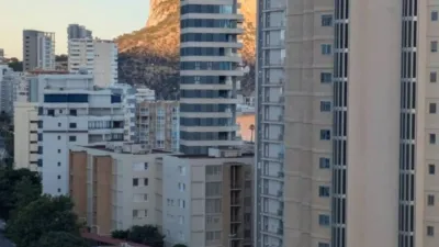 Apartment in Playa del Arenal Bol-Playa del Cantal Roig photo 20