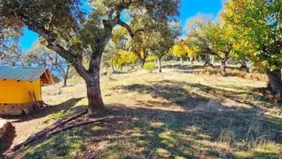 Rustic house in Cortelazor photo 58