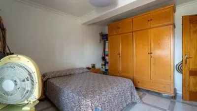 Apartment in San Pablo photo 10