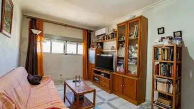 Apartment in San Pablo photo 3