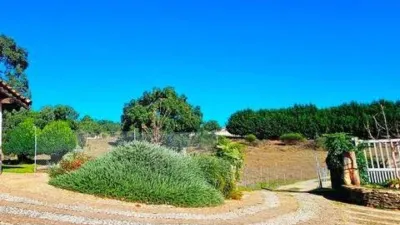 Rustic house in Cortelazor photo 59