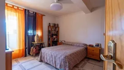 Apartment in San Pablo photo 9