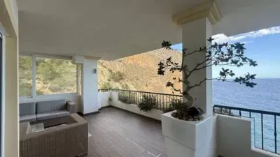 Apartment in Mascarat photo 29