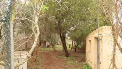 Rustic property in Campo Nubla-Tallante photo 31