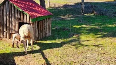 Rustic house in Cortelazor photo 53