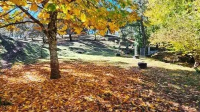 Rustic house in Cortelazor photo 49