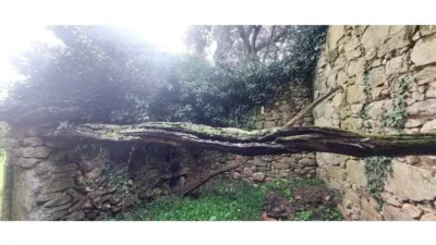 Rustic house in Silleda photo 15