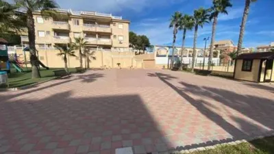 Apartment on Avinguda de Cervantes photo 34