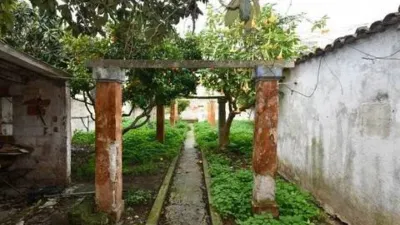 Rustic property in Felanitx photo 3