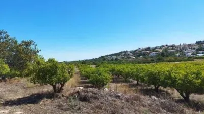 Terreno en venta en Orba - Más