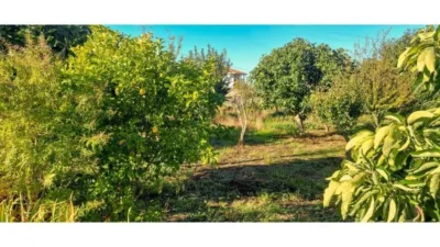 House in Silleda photo 13