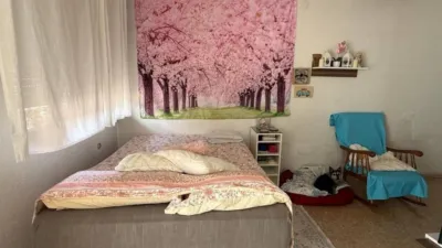 Apartment in La Alberca photo 32