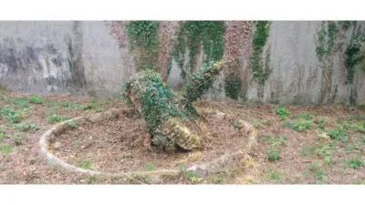 House in Forcarei photo 23