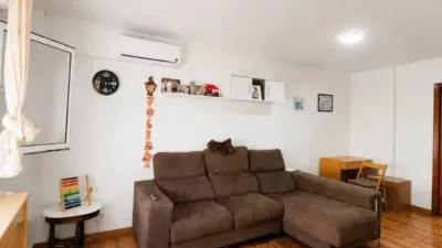 Apartment in Murcia Capital photo 2
