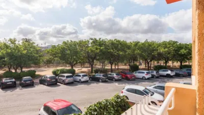 Apartment in El Palmar photo 8