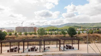 Apartment in El Palmar photo 40