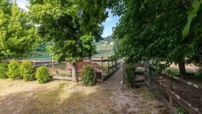 Chalet in Boimorto photo 15
