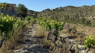 Terreno en venta en Benissa Pueblo - Vista 5