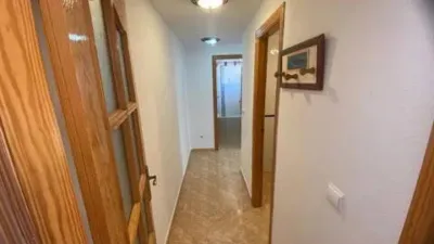 Apartment on Avinguda de Cervantes photo 13