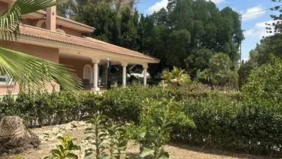 Chalet in Callosa de Segura photo 50