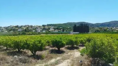 Terreno en venta en Orba - Vista 5