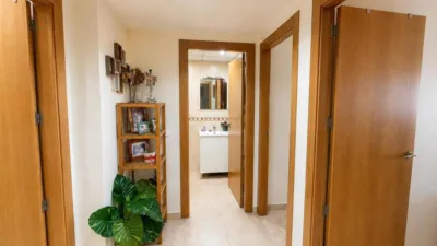 Apartment in Espinardo photo 8