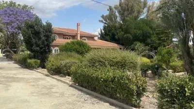 Chalet in Callosa de Segura photo 51