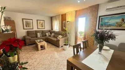 Apartment in El Rafal Vell photo 5