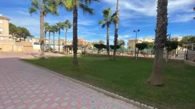 Apartment on Avinguda de Cervantes photo 41