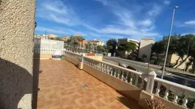Apartment on Avinguda de Cervantes photo 10