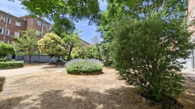 Apartment in Almenara photo 47