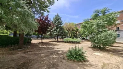 Flat in Castillejos photo 39