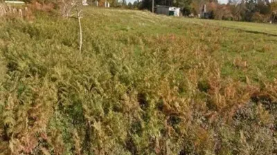 Terreno en venta en Miño - Vista 3