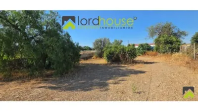 House in Lorca photo 32