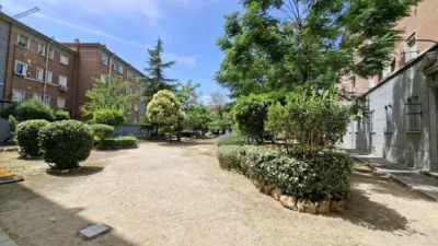 Apartment in Almenara photo 46