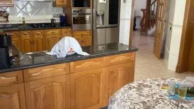 Chalet in Callosa de Segura photo 53