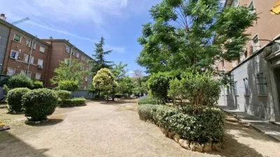 Apartment in Almenara photo 48