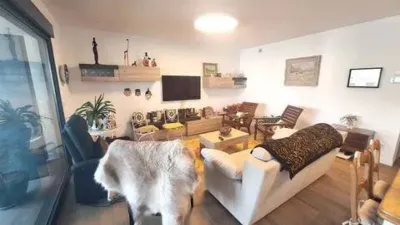Apartment in Southwest Rural Zone photo 4