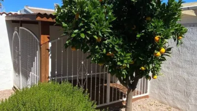 Villa in Algorfa photo 44