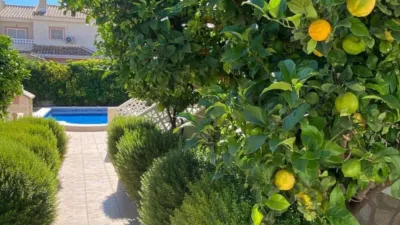 Villa in Algorfa photo 42