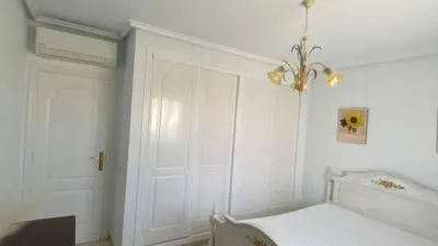 Villa in Algorfa photo 22