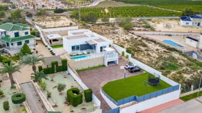 Villa in Algorfa photo 3