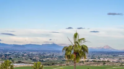 Villa in Algorfa photo 4